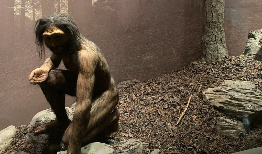 Американский музей естественной истории (American Museum of Natural History)